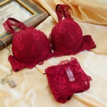 Sweet Push up Embroidery Bras Set Lace Lingerie Bra and Panties-28735