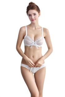 Transparent Women 's Push up Embroidery Bras Set Lace Lingerie Bra and Panties-27607