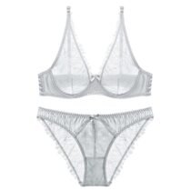 Transparent Women 's Push up Embroidery Full Bras Set Lace Lingerie Bra and Panties 1622-0