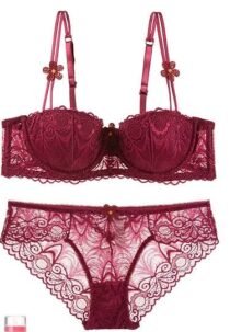 Women 's Push up Embroidery Bras Set Lace Lingerie Bra and Panties-0