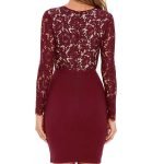 Deep V-Neck Lace-Paneled Long-Sleeved Dress-0